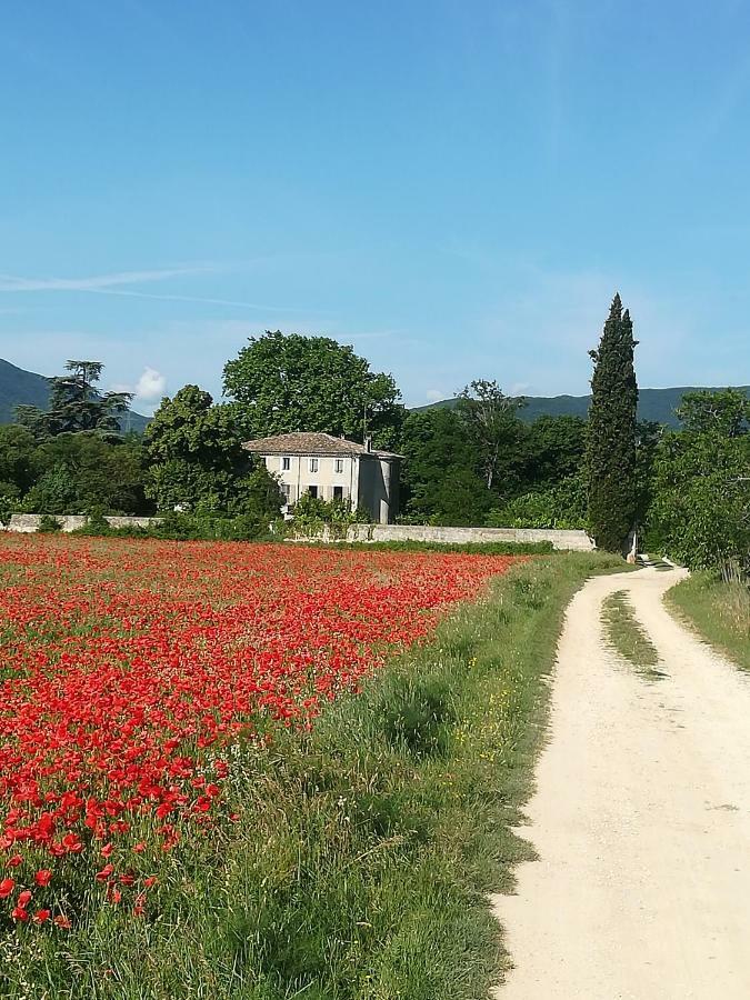 Le Clos De La Chardonniere Saulce-sur-Rhône Kültér fotó